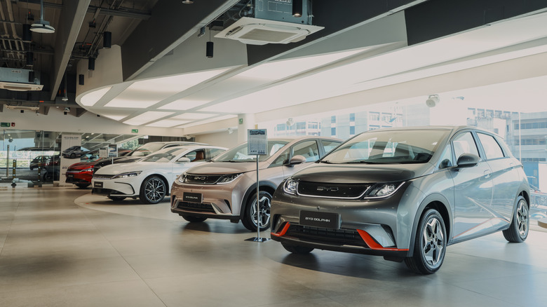 BYD electric cars at a showroom