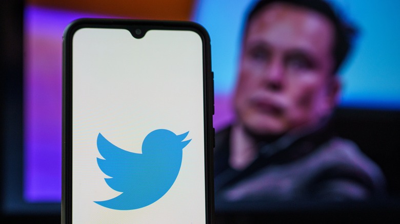 Twitter logo on phone