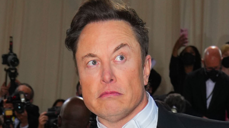 Elon Musk posing for the camera 