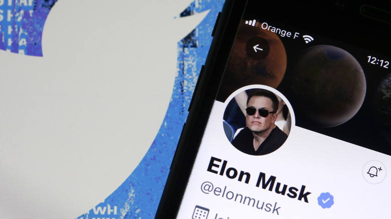 Elon Musk's Twitter profile