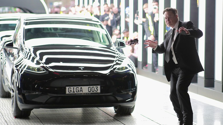 Elon Musk posing with Tesla