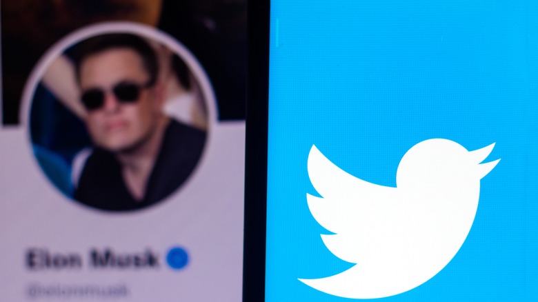 Musk twitter account