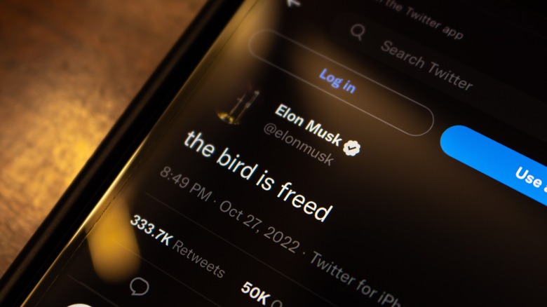 Elon Musk freed bird tweet