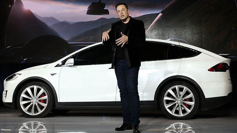 Elon Musk Tesla car