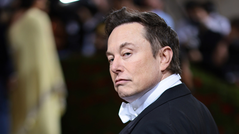 Elon Musk posing for camera
