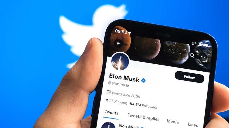 Elon Musk's Twitter profile.