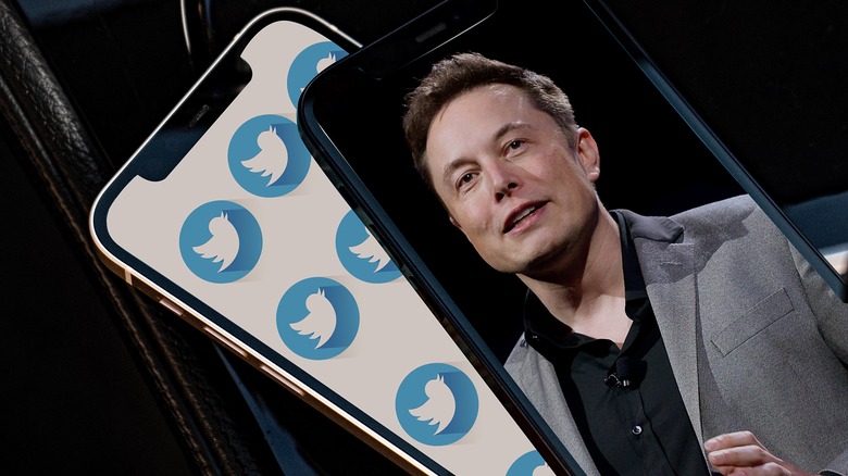 Musk and twitter on an iPhone