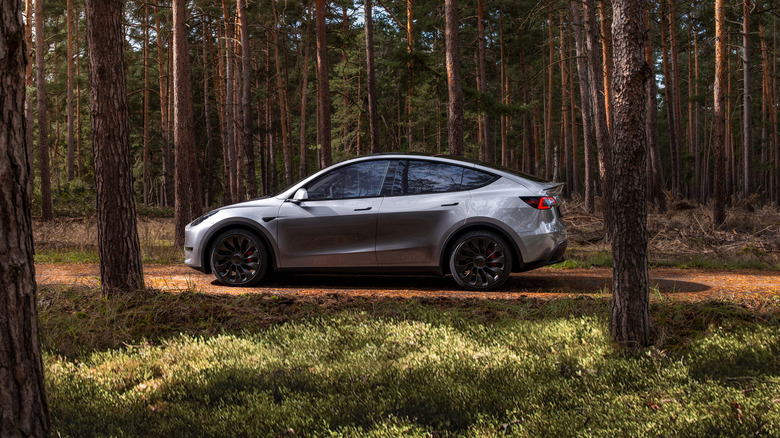 tesla model y quicksilver