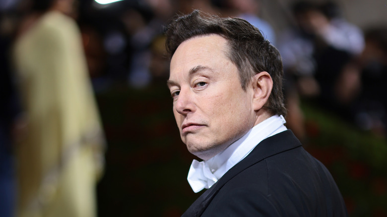 Elon Musk posing for the camera at an event.
