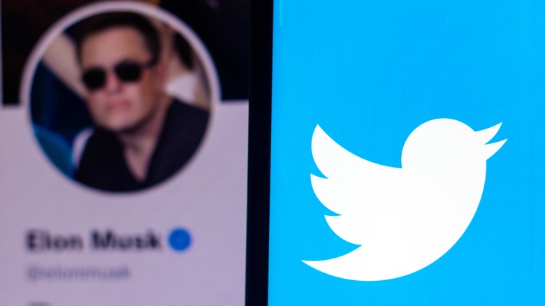 Elon Musk and Twitter