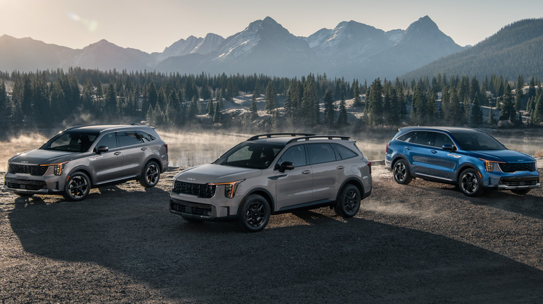 three vehicles from the 2024 Kia Sorento lineup