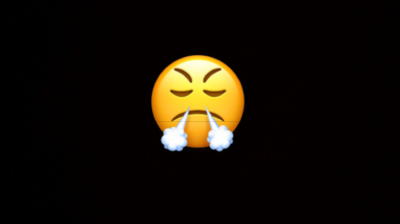 Face with steam from nose