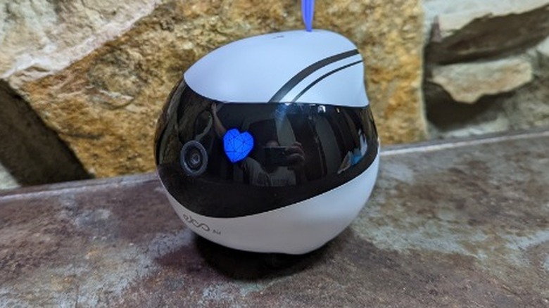 Enabot EBO Air Review: Clever Robot Cat Companion