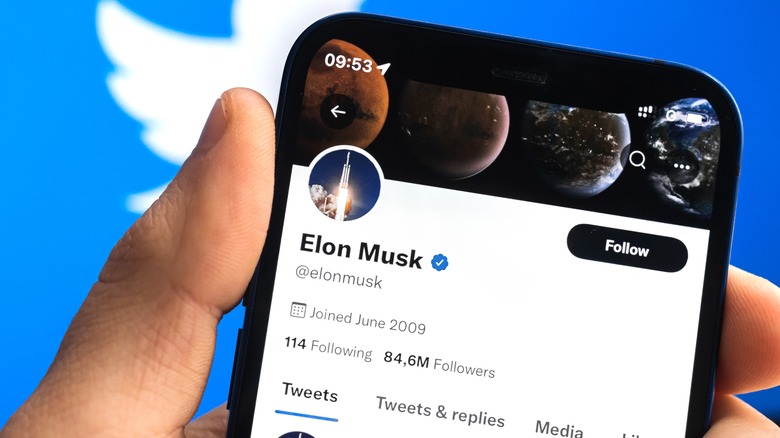 Elon Musk's Twitter profile against the company's logo. 