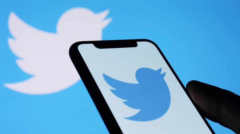Splash screen of the Twitter mobile app on an iPhone. 