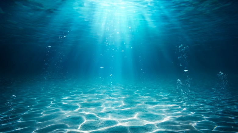 Underwater photo showing sandy ocean floor with sunlight coming from the surface