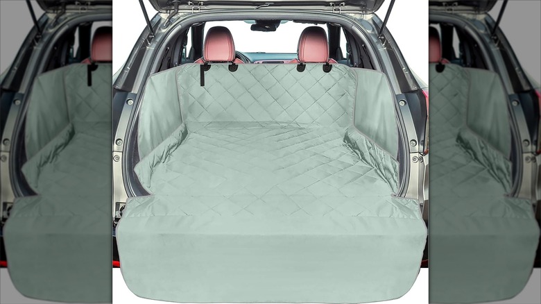 F-color cargo liner
