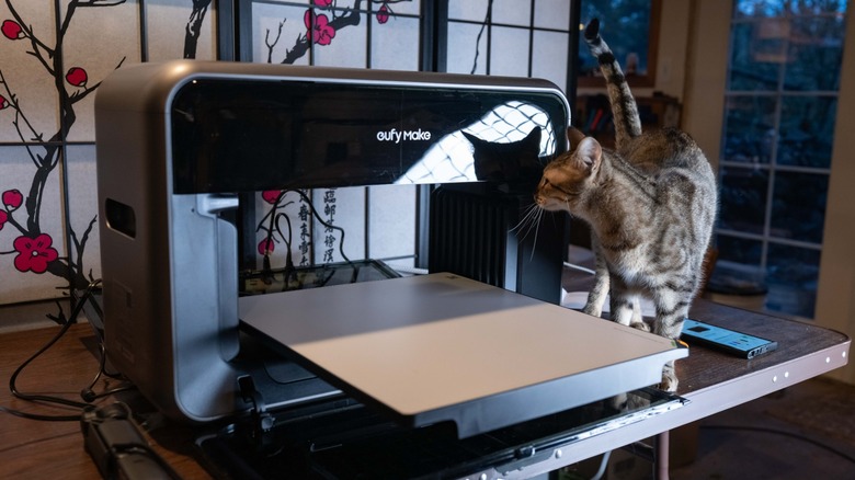 Bobalink the cat inspects the Eufymake E1 on a table in front of a patterned screen.