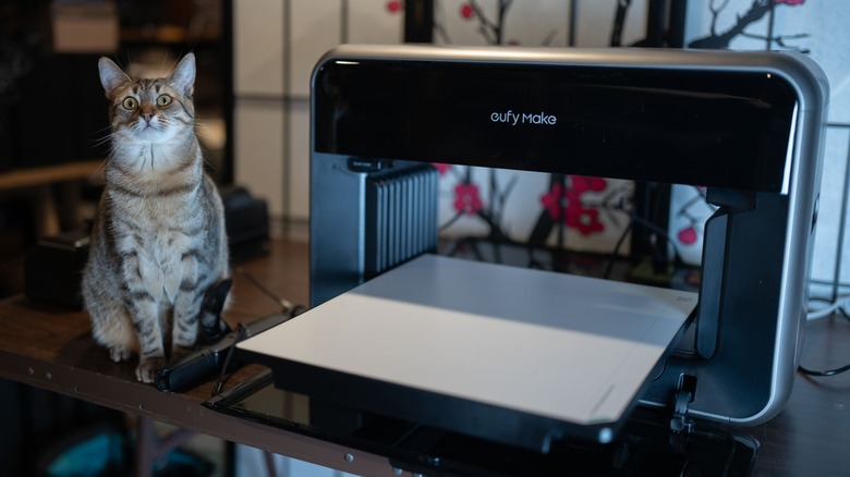 A cat sitting next to the Eufymake E1