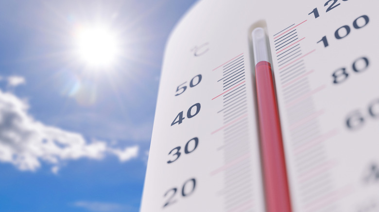 Thermometer rising in the heat of the sun