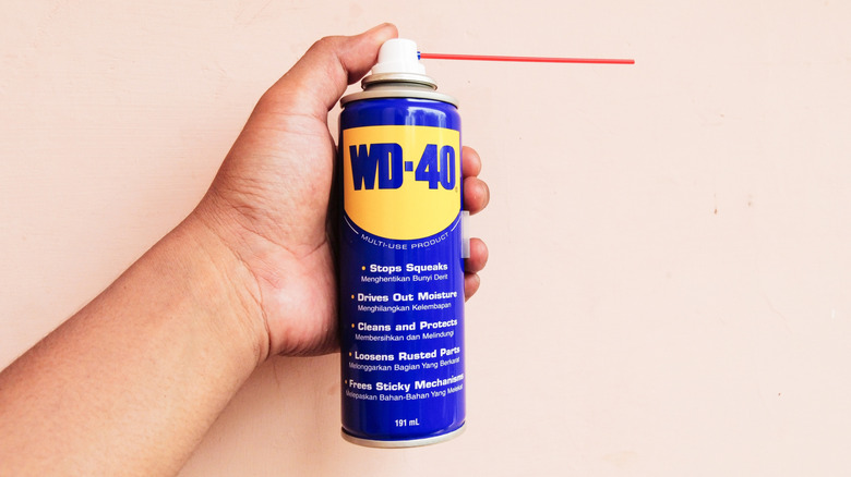 Person holding can of WD-40