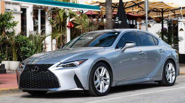 A Lexus on a street lined with palm trees