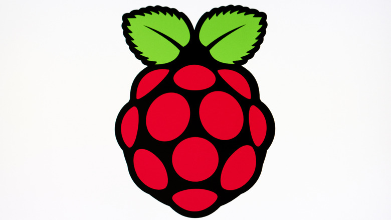 Raspberry Pi logo on display