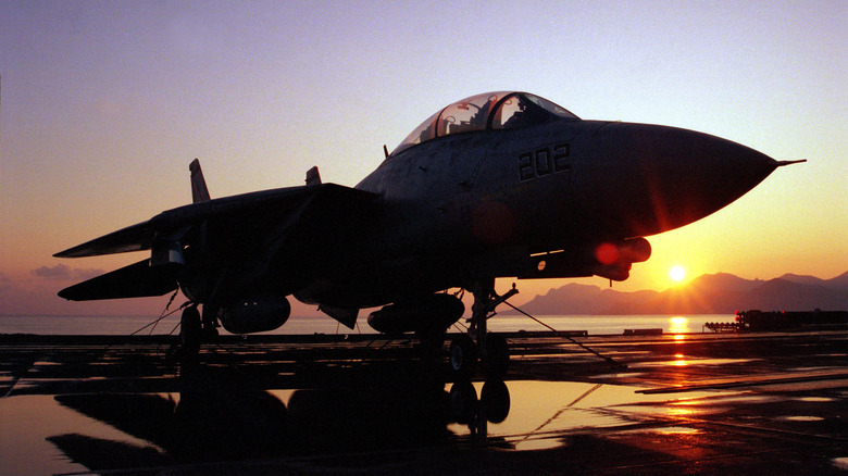 A grounded F-14 Tomcat low sun