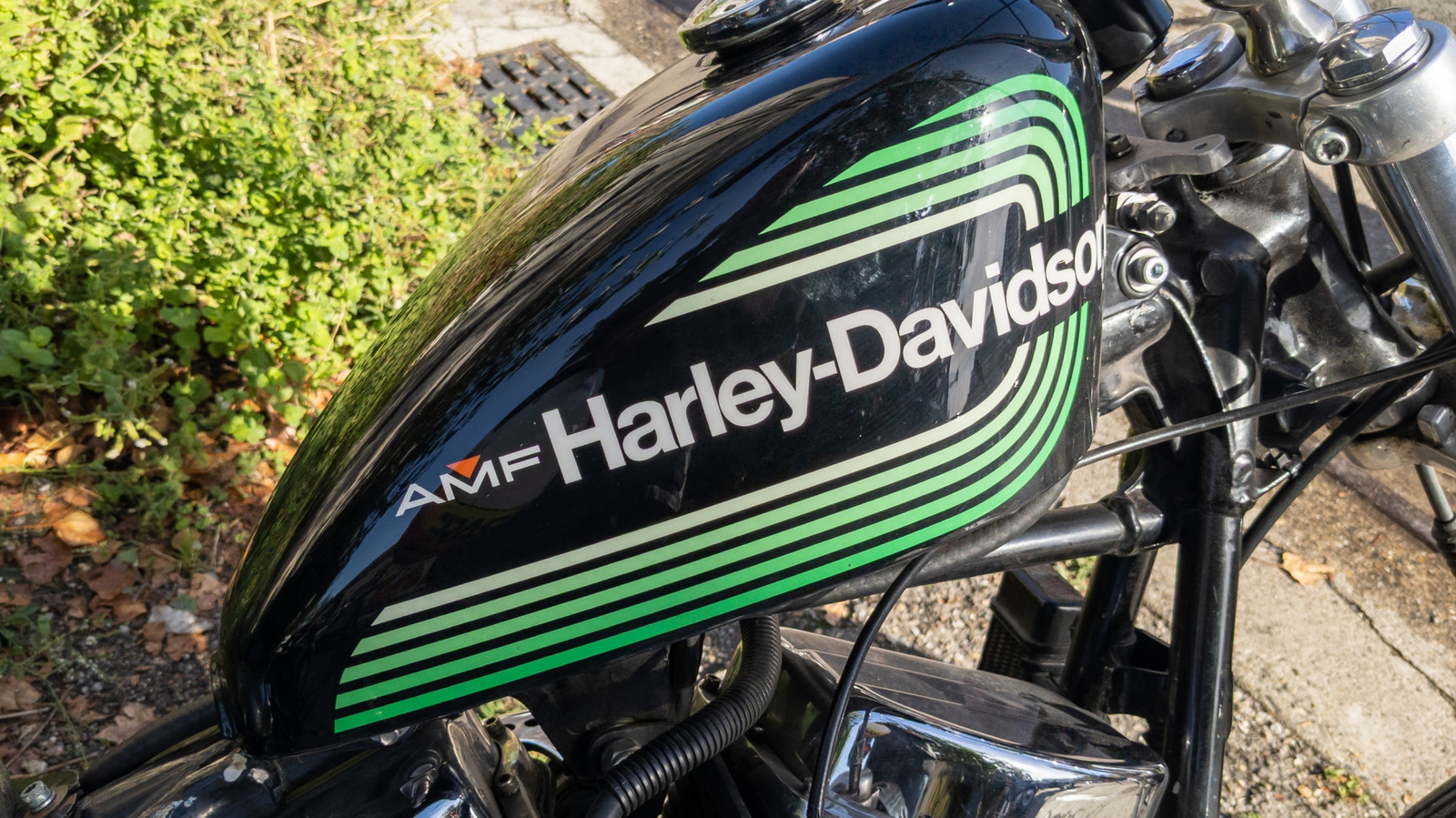 Amf harley discount