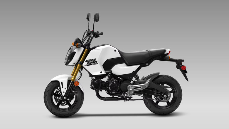 A pearl white Honda Grom ABS for the 2025 model year against a grey studio backdrop.