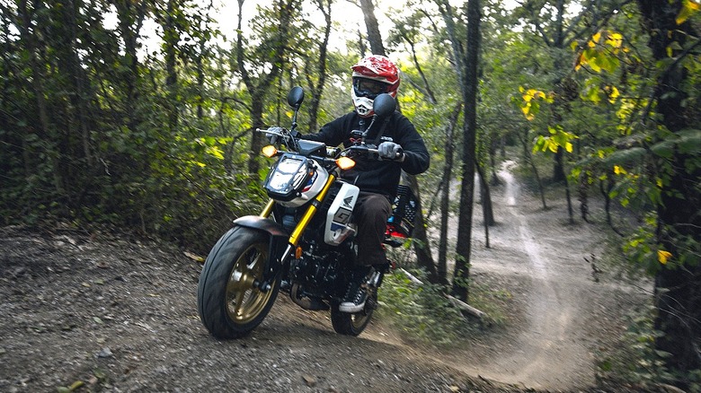 A rider moving at speed in a forst in full gear while riding a Honda Grom mini bike.