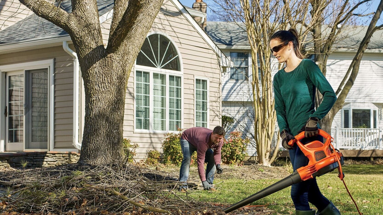 Person using leaf blower