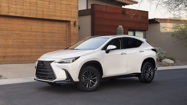 2025 Lexus NX base model in white pearl color