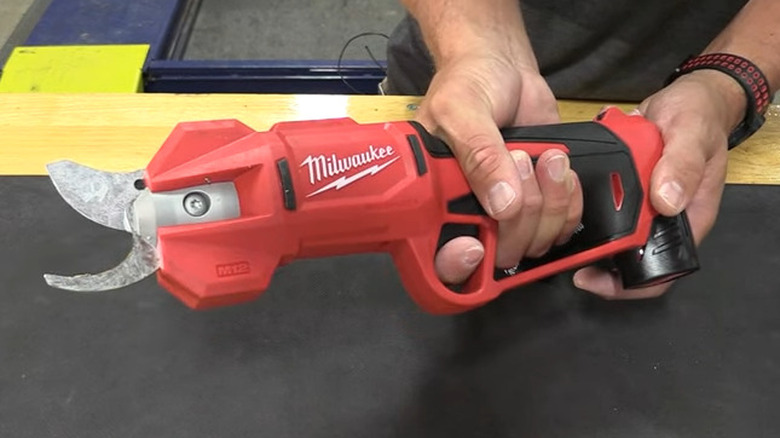 person holding an electric pruner