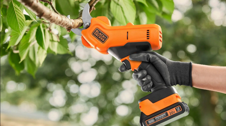 person using electric pruners on branch