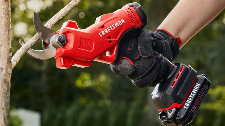 person using electric pruners on branch