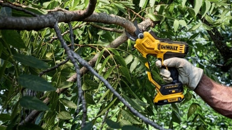 person using electric pruners on branch