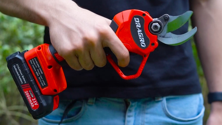 person holding electric pruners in front of him