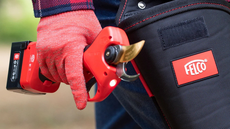 person holding electric pruners