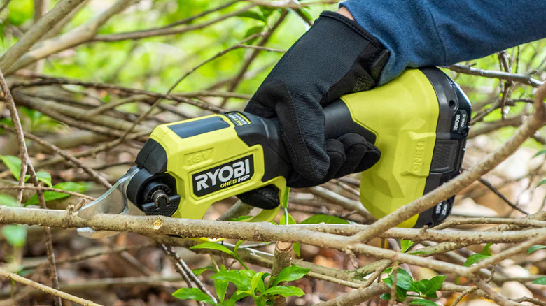 person using electric pruners on brush