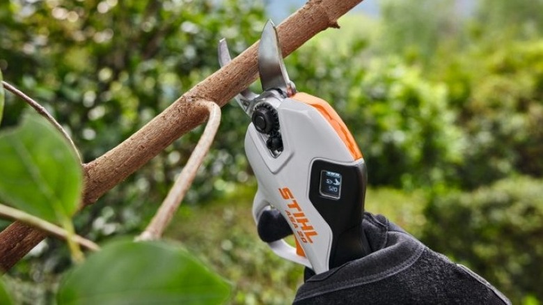 Person using electric pruners on branch