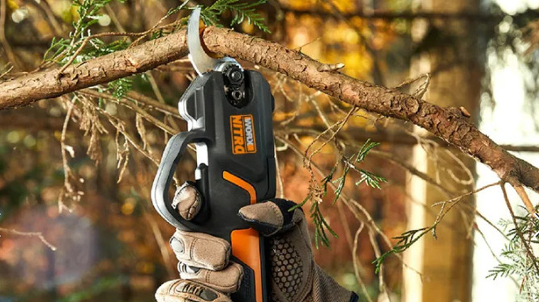 person using electric pruners on branch