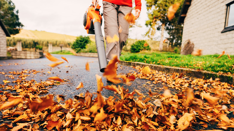 Person using leaf blower