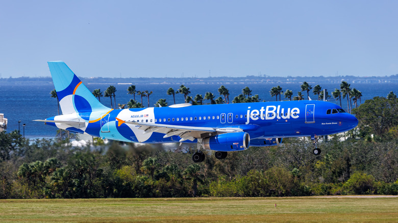 jetblue plane landing at airport