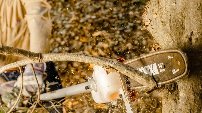 Person holding a Worx pole saw