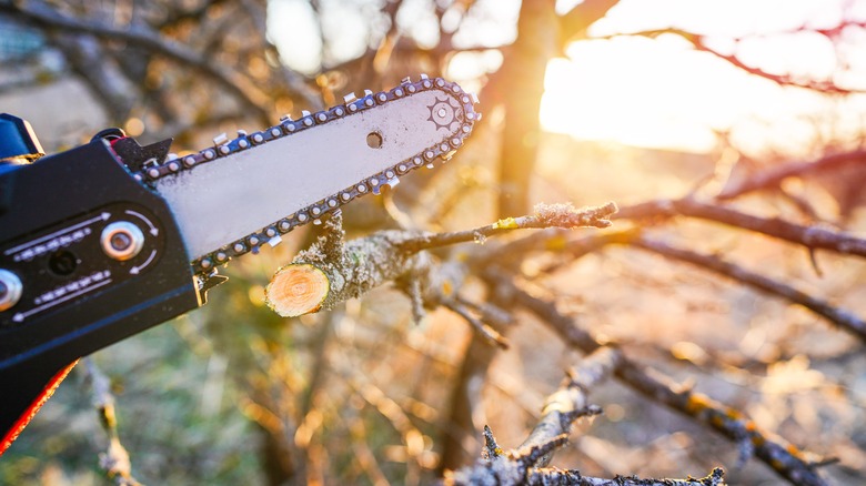 A mini chainsaw used to cut a small branch