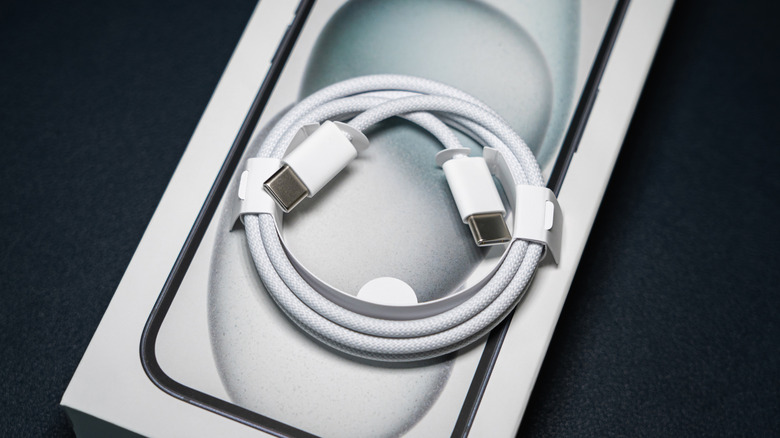 A coiled white braided Apple USB-C cable with two connectors rests on an iPhone package.