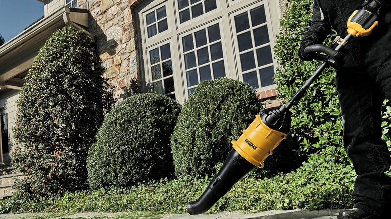 DeWalt DWOAS7BL blower attachment clearing grass cuttings