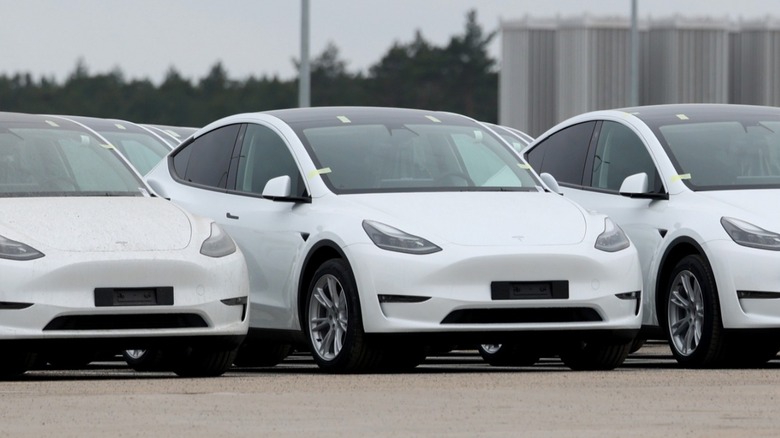 Tesla Model Y EVs