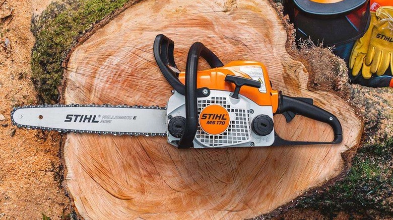 Stihl MS 170 chainsaw on stump